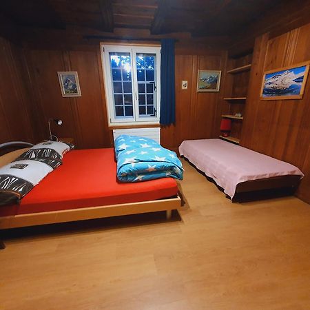Traditional Swiss-Flat Интерлакен Экстерьер фото