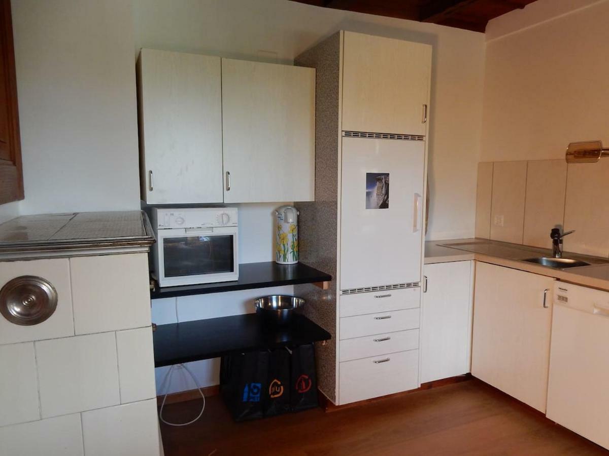 Traditional Swiss-Flat Интерлакен Экстерьер фото